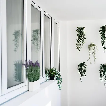 Ultracentral Cismigiu Park Bucareste